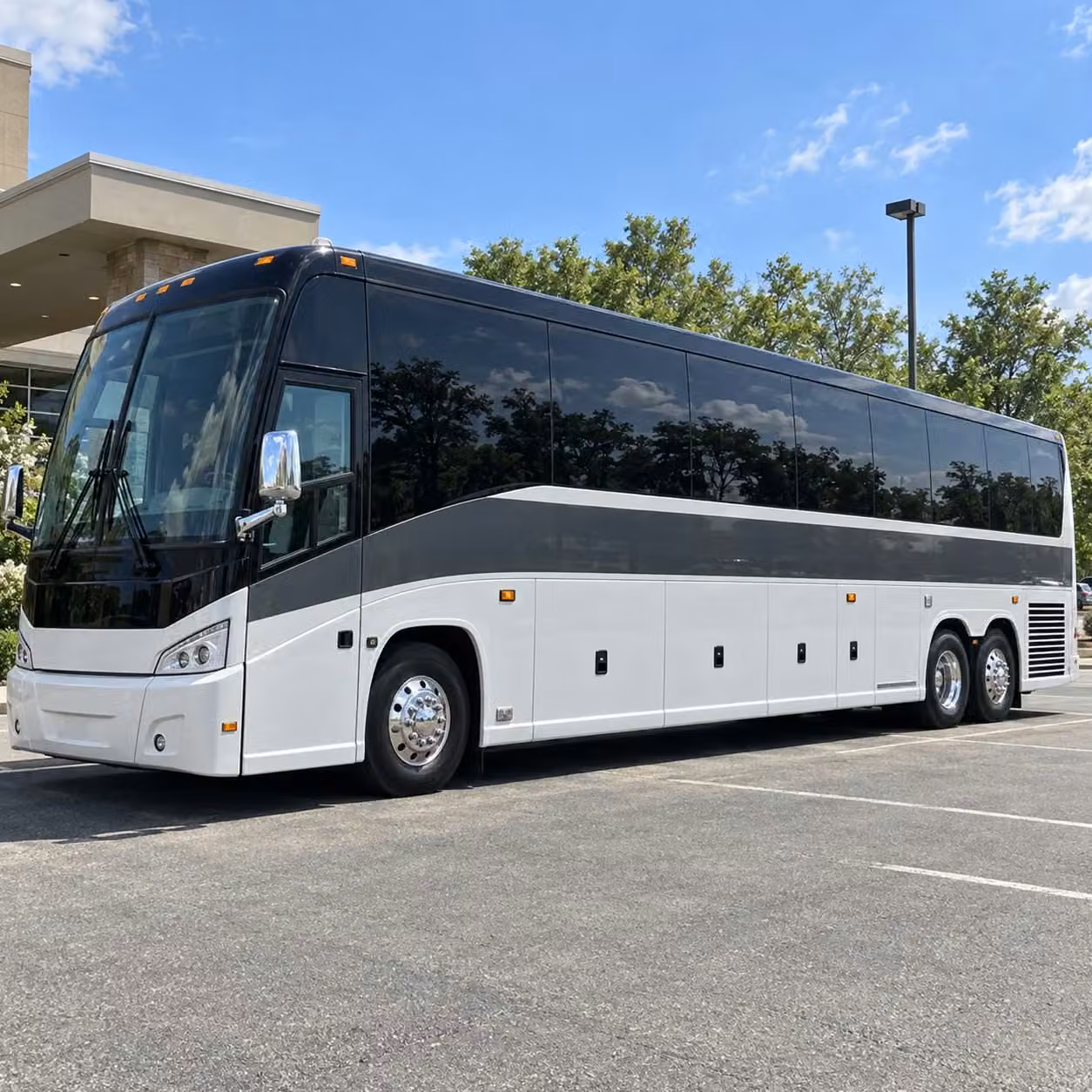 56 passenger charter bus